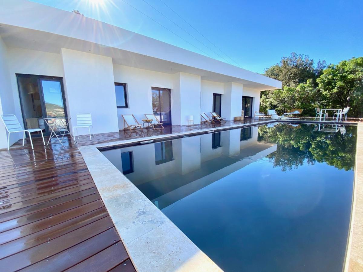 Villas De Standing Avec Magnifique Vue Mer Et Piscines Privees, Sagone Sagone  Exterior foto
